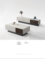Ensemble de meuble TV et table basse en fibre de verre et pierre, moderne, luxueux, de haute qualité, extensible, multifonctionnel et écologique