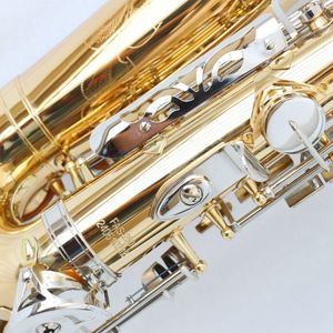 <span class=keywords><strong>Saxophone</strong></span> alto de qualité supérieure pour étudiants, corps laqué or avec clés nickelées, <span class=keywords><strong>saxophone</strong></span> alto avec étui - Product Image 2