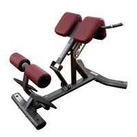 Banc de gymnastique pliable pour hommes, équipement de gymnastique à usage commercial, extension du dos, siège ajustable, banc romain