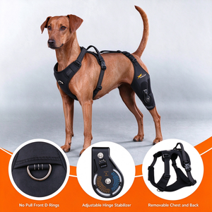 Attelle orthopédique pour genou de chien, protège-jambe arrière avec stabilisateur à charnière réglable, boucle rapide, néoprène, pour déchirure du ligament croisé avant, entorse - Product Image 1