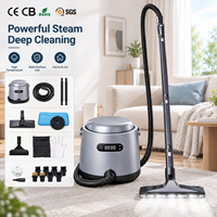 Nettoyeur Vapeur Électrique Commercial Professionnel Haute Pression à Chauffage Rapide pour Voitures et Tapis