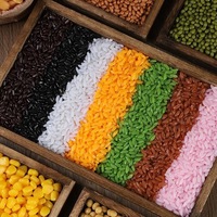 Línea de Producción Industrial de Arroz Artificial Instantáneo, Extrusora de Doble Tornillo, Máquina para Fortificar Granos de Arroz
