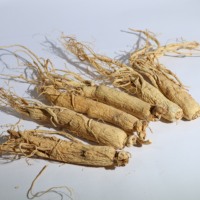 Çin Jilin Changbai Dağı Ginseng Sağlıklı Gıda Tabletleri %100 Saf Yetişkinler İçin