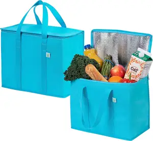 标志设计户外大空间房间绝缘杂货袋包装食品配送冷袋可重复使用的拉链顶部购物袋