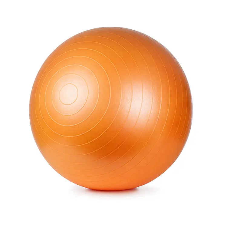 Harga grosir bola latihan Yoga Logo kustom Multi Warna Gym olahraga 65cm bola Yoga bola Fitness