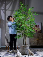 Künstlicher Ficus Lyrata Zimmerbaum im Topf für Festliche Anlässe wie Erntedank, Weihnachten, Ostern, Neujahr und Halloween