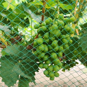 Сверхмощный Hpde полиэтиленовый плетёный нейлоновый противофазовый сетчатый противоголубиный сетчатый птичий сетчатый - Product Image 5