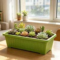 Grand pot de fleurs circulaire en PP durable pour la maison, avec trou de drainage auto-arrosant, pour jardin, légumes, herbes, fraises