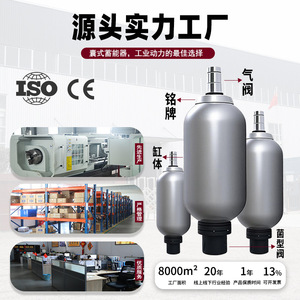 Accumulateur hydraulique à membrane NXQA40L 119 219, réservoir sous pression en acier inoxydable pour le stockage d'huile hydraulique - Product Image 2