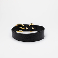 Accessoires pour chiens tendance, collier pour chat en cuir PU de luxe avec boucle en métal, collier pour chien en cuir végétalien