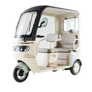 Robust 60V Utility E-Trike with Extended <strong>Open</strong>-Back <strong>Space</strong> for Enhanced Efficiency - Product Image 4