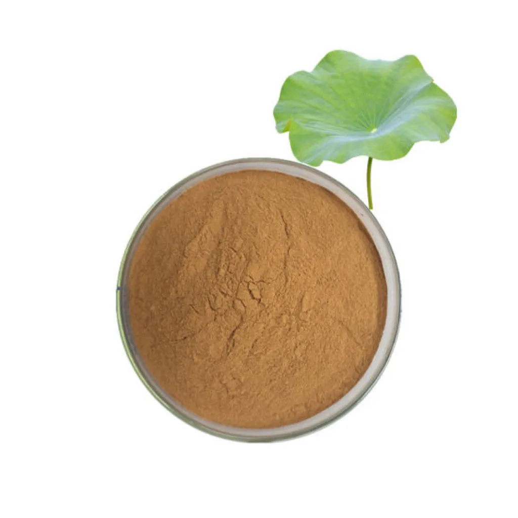 Hot Sale Product 100% Pure Natural Blue Lotus Extract Powder Lotus Leaf Extract Powder 10:1 20:1