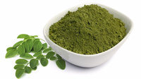 Pabrik OEM kualitas tinggi Moringa daun bubuk Moringa
