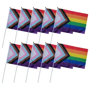RTS 18x12 дюймов 45x30 см ЛГБТ пол гордость Радуга прогресса ручные флаги