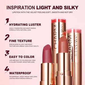Rouge à lèvres hydratant haute pigmentation 8 couleurs, flacon doré, waterproof, anti-transfert, nude rose rouge, illuminateur, crème à lèvres végane - Product Image 3