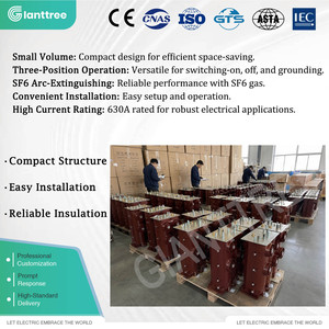 <span class=keywords><strong>Interruptor</strong></span> de Corte de Carga <span class=keywords><strong>SF6</strong></span> GIANTTREE FLRN-36 con Operación Manual/Eléctrica Opcional para Equipos de Conexión Eléctrica Interiores Completos - Product Image 3