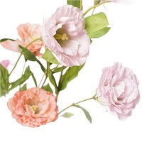 Fleurs artificielles Eustoma Lisianthus au toucher réel, fleurs de campanule hydratantes, fleurs artificielles de gentiane de prairie pour la décoration d'événements