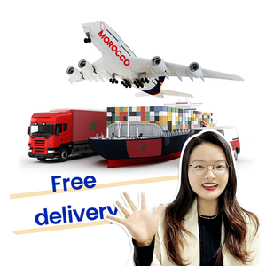 Transporte marítimo puerta a puerta servicio logístico costo flete de China a Marruecos categoría de producto Air + Express - Product Image 2