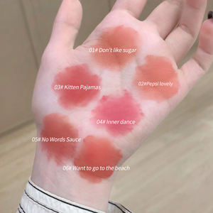 Gege ayı puslu katı dudak parlatıcısı mat sisli yüzey ruj kalem tutan makyaj rengi render ruj kalemi Set - Product Image 4