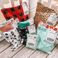 Polly Mailer de livraison de courrier personnalisé écologique expédition de vêtements poly sac LDPE sac postal imprimé pour vêtements
