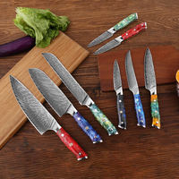 Ensemble de couteaux à steak en acier Damas VG10 de 5 pouces de haute qualité 67 couches avec manche en résine couteau utilitaire de cuisine de style oriental