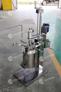Réacteurs de laboratoire automatiques bibo avec pompe à vide et compresseur d'air, dotés d'un moteur de réaction central et d'un récipient de cuisson - Product Image 5