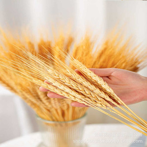 Oferta Especial: Ramilletes de Trigo Seco 100% Natural para Centros de Mesa, 50 Ramas por Ramillete, para Bodas Rústicas - Product Image 6