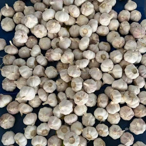 <span class=keywords><strong>Ail</strong></span> biologique en gros de 5 cm, 5,5 cm, 6,0 cm, <span class=keywords><strong>ail</strong></span> du Shandong, <span class=keywords><strong>ail</strong></span> frais naturel pur blanc - Product Image 4