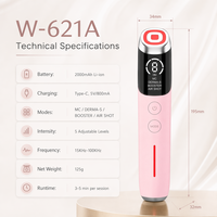 Bestes Glass Skin Beauty Care Booster Pro Gesichtslifting-Gerät Anti-Aging Gesichtslifting-Massagegerät Hautstraffungsgerät für den Heimgebrauch