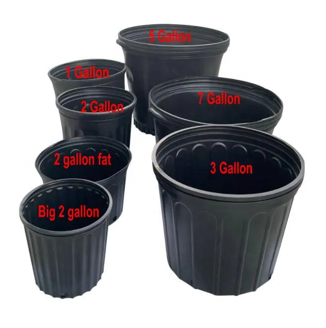 Durevole 50 New Plastic Nursery 1 gallone Trade Pot contiene 0.66 Gal piantina albero esterno nero vaso da fiori vasi da vivaio per piante