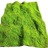 Gazon artificiel 3D vert en plastique, simulation de mousse, directement de l'usine, pour mur de fond de fenêtre, décoration artistique 3D verte pour la maison et le jardin
