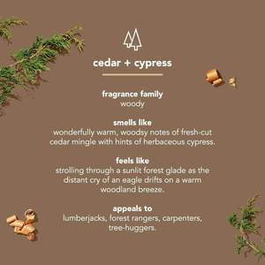 Gel Douche LUXLISS Sans Parabènes ni Phtalates, Hydratant, Naturel, Vegan, Mousse de Bain Blanchissante, Gel Douche - Product Image 5