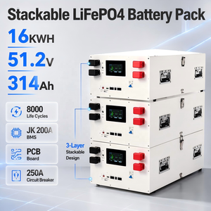 แบตเตอรี่ BSY 51.2V 314Ah 16kWh แบบต่อพ่วงได้ รุ่น V19 200A BMS CAN RS485 รับประกัน 5 ปี 8000 รอบการใช้งาน สำหรับโซลาร์บ้าน - Product Image 3