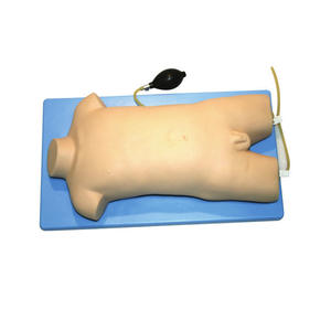 Clínica Enfermagem Habilidade Punção Comprehensive Habilidade Treinamento Simulador Criança <span class=keywords><strong>Femoral</strong></span> Veia & <span class=keywords><strong>femoral</strong></span> Artéria Punção Treinamento Modelo - Product Image 3