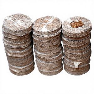 Polyfoam de qualité supérieure pour la création de semis Shrekha Creations, artisanat durable et léger, épaisseur de 3 mm à 10 mm, diverses utilisations artistiques, tourbe de coco - Product Image 1