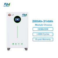 Baterai Lithium JM BYD 300Ah 314Ah 48V Vertikal untuk Rumah, Sistem Tenaga Surya 15kWh 16kWh, 8000+ Siklus Dalam (Deep Cycle)