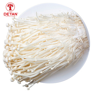 DETAN свежий enoki гриб цена натуральный <span class=keywords><strong>flammulina</strong></span> <span class=keywords><strong>velutipes</strong></span> из Китая - Product Image 1