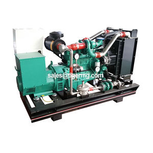 Tipo silencioso LPG aberto do gerador 300KVA 250KW de poder do gás natural do líder/biogás/gerador de poder motor gás natural - Product Image 2