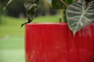 Ensemble de pots à fleurs en céramique de style américain, design en forme d'œuf rouge brillant, finition émaillée, trou de drainage, respectueux de l'environnement - Product Image 5