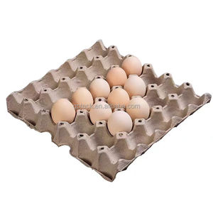 Nhà Máy Tái Sử Dụng Trứng Thùng Carton Sinh Học Phân Hủy Mía Bã Mía Ủ Gà Trứng Bao Bì Dùng Một Lần Trứng Gà - Product Image 2
