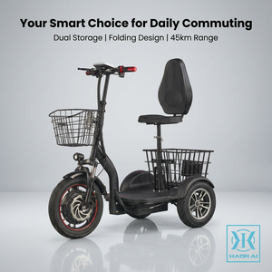 Scooter <span class=keywords><strong>électrique</strong></span> à 3 roues 48V 450W, tricycle, batterie au plomb-acide 12Ah, autonomie maximale de 45 km, vitesse maximale de 30 km/h, tricycle <span class=keywords><strong>électrique</strong></span> pour adultes - Product Image 1
