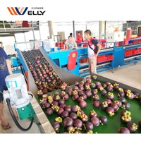 Kiwi fruit sorteren machine/mango sorteermachine/sorteren machine voor fruit en groente