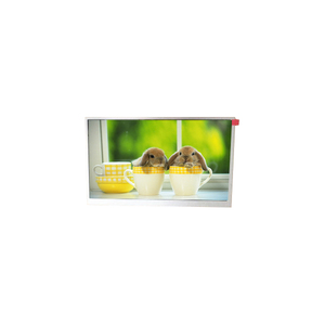 แผงจอ TFT LCD อุตสาหกรรม TM090RDSG06ขนาด9.0นิ้ว800(RGB)* 480 WVGA 104PPI จอแสดงผล LCD ใหม่เอี่ยม - Product Image 2