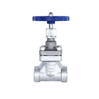 Vanne à globe cryogénique à tige courte DJ-25G, raccord à souder DN25