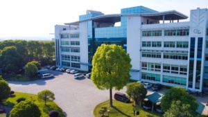 China Chunmee 4011 <span class=keywords><strong>marocco</strong></span> tè verde tè 1kg prezzo - Product Image 6