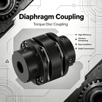Accouplement à diaphragme SFS JM, couple élevé, acier résistant à la corrosion, compensation de décalage, large gamme d'applications, efficacité, OEM