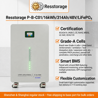 Batterie hybride LiFePO4 48V 314Ah 16.08kWh avec BMS Pace/Jikong à équilibrage actif, écran LCD 3.5, CAN, RS485, RS232 pour stockage domestique