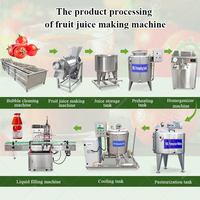 Industriële Zoete Watermeloen Fruit Mangosap Extractor Juicer Pulp Commerciële Koude Pers Procesmachine