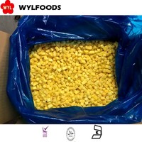 IQF Diepvries Mango Premium Kwaliteit Fruit Zoete Smaak Durian Halve Stukken Brokken Bulkverpakt Puree Kubussen China's Beste Leverancier