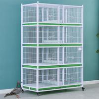 Nouvelles cages à pigeons pliables en métal avec plateau en plastique robuste, design solide, style moderne et simple, durables et peu encombrantes